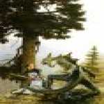 thumb_645 (Medium).jpg